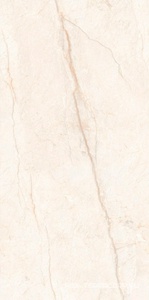 Керамогранит для пола и стены Leopard Monaco  Bianco carving 60x120 n179650