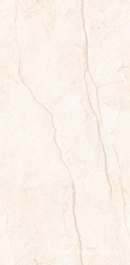 Керамогранит для пола и стены Leopard Monaco  Bianco carving 60x120 n179650