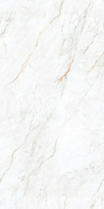 Керамогранит для пола и стены Leopard Velvet Arden White velvet 60x120 n179655