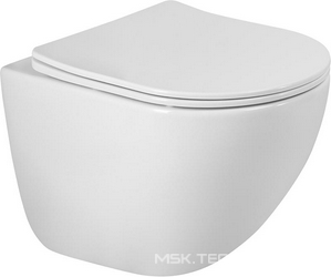 Унитаз подвесной, безободковый 495x360мм, сиденье с микролифтом, крепёж в компл., смыв Tornado, Amanda-Tor ZZ