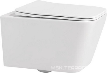 Унитаз подвесной, безободковый, 53х35.5см, сиденье с микролифтом, крепеж в компл., (цв.белый глянц.), Rechteck ZZ