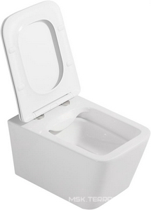 Унитаз подвесной, безободковый, 53х35.5см, сиденье с микролифтом, крепеж в компл., (цв.белый глянц.),  ZZ Abber Rechteck AC1201