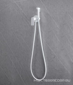 Смеситель совмещ. с гигиенич. душем, готовый к-т: лейка, шланг, скрытая часть, (цв.белый матовый),  ZZ Abber Weiss Insel AF8025W