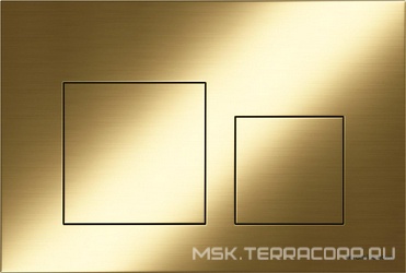 Кнопка смыва для инсталляции Balance, цвет брашированное золото