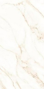 Керамогранит для пола и стены Axima Dortmund  серая 60x120 ZZ УТ-00017516