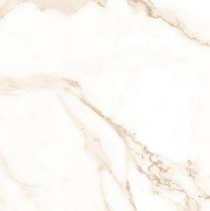 Керамогранит для пола и стены Axima Dortmund  серая  60x60 ZZ УТ-00017886