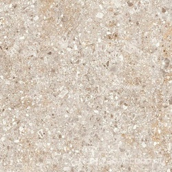 Treviso серая  60x60 ZZ