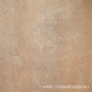 Керамогранит для пола и стены Zerde 2 CM Gaia  brown 58x58 R1GA0HH28GRR5