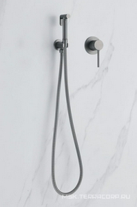 Смеситель совмещённый с гигиеническим душем, готовый комплект: лейка, шланг, скрытая часть, (цв.никель),  ZZ Abber Emotion AF8825NG