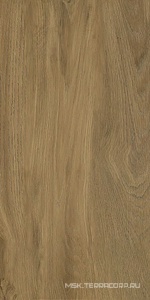 Керамическая плитка для стены Azori Каменный сад Плитка  дерево 31.5x63 00-00110796