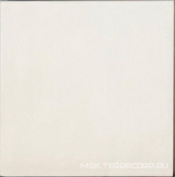 Contemporary Coconut Milk 15x15