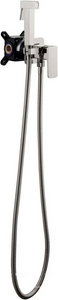 Смеситель совмещённый с гигиеническим душем, (готовый комплект: лейка, шланг, скрытая часть), (цв.никель браш.),  ZZ Allen Brau Infinity 5.21005-BN