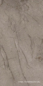 Керамогранит для пола и стены Gracia ceramica Choco  brown PG 11  60х120 010400001377