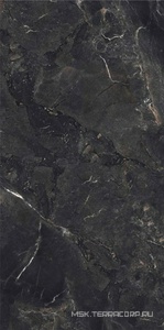 Керамогранит для пола и стены FMAX FMAX Rembrandt Black mat 90x180 F918Y30306