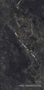 Керамогранит для пола и стены FMAX FMAX Rembrandt Black mat 90x180 F918Y30306