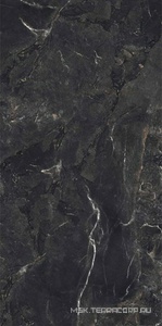 Керамогранит для пола и стены FMAX FMAX Rembrandt Black mat 90x180 F918Y30306