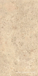 Керамогранит для пола и стены Atlas Concorde Italy Nyra  Ambrosia matt 60x120  HCRA