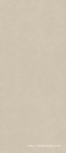 Керамогранит для пола и стены Atlas Concorde Italy Boost Natural Pro  Cinder 120x278 AQ9H