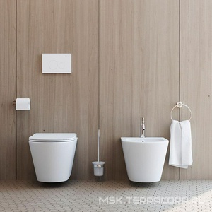 Клавиша двойного смыва для инстал., д/унитаза, (пластик цв.белый глянец),  ZZ Aqueduto Circulo CIR0210