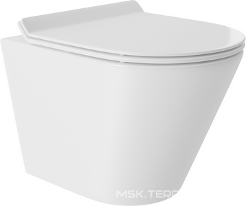 Компл.: унитаз подв.,безободк,Tornado 480х360мм, цв.белый гл, сиденье с микролиф,, инстал. д/унит., крепёж, клавиша смыва Circulo цв.белый,  ZZ Aqueduto Cone AQDS119T