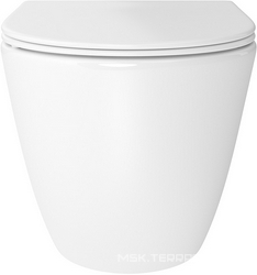 Унитаз подвесной 480х360мм, безободковый, смыв Tornado, сиденье с микролифтом, крепёж в компл., (цв.белый глянец),  Daily Aqueduto Ovo OVOTD2210