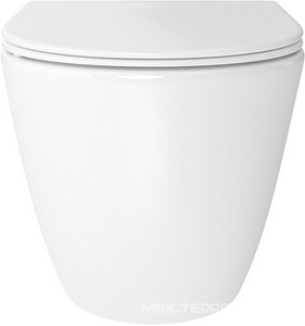 Унитаз подвесной 480х360мм, безободковый, смыв Tornado, сиденье с микролифтом, крепёж в компл., (цв.белый глянец),  Daily Aqueduto Ovo OVOTD2210