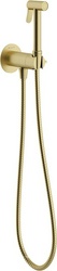 Смеситель совмещённый с гигиеническим душем, готовый комплект: лейка, шланг, скрытая часть, прогрессивный картридж, (цв.шлифованное золото),  ZZ Aqueduto PUREZA PUR0150