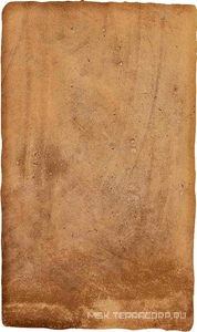 Керамогранит для пола и стены Ermes Aurelia Cotto  nat 30x50 37691