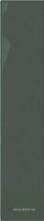 Керамическая плитка для стены DNA Plinto  Green Gloss 10.7x54.2 130274