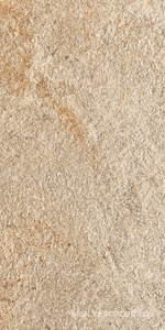 Керамогранит для пола и стены Atlas Concorde Italy Norde  Oro 30x60 A5NE