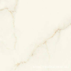 Керамогранит для пола и стены Atlas Concorde Italy Marvel X Marvel Calacatta Apuano Matt 60x60 AFV3