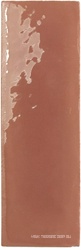 Rebels Terracotta Gloss ZZ 5x15
