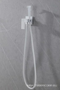 Смеситель совмещ. с гигиенич. душем, готовый к-т: лейка, шланг, скрытая часть, (цв.белый матовый),  ZZ Abber Daheim AF8226W