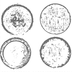 Керамогранит для пола и стены Alpas Euro Denver  White Matt 20x20 n189473