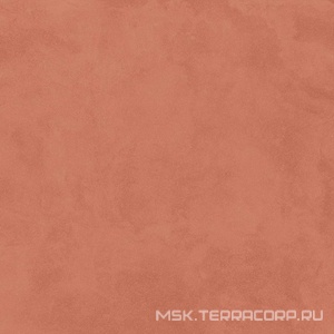 Керамогранит для пола и стены Alpas Euro Denver  Red Base Matt 20x20 n189476