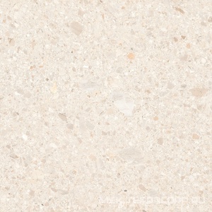 Керамогранит для пола и стены Pamesa Core Ergon  White mat 120x120 085.002.0108.17558