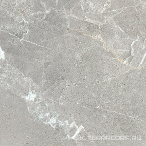 Керамогранит для пола и стены ProGRES Ceramica Garcia  grey матовый 60х60 NR0388