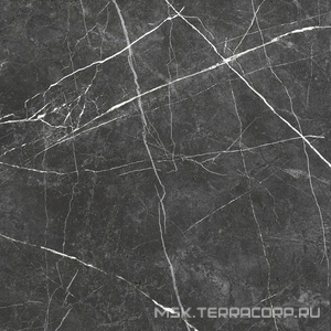 Керамогранит для пола и стены ProGRES Ceramica Marble  line dark grey  матовый  серый темный 60х60 NR0383