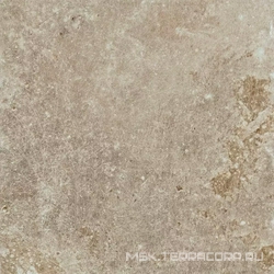 Grigio di Scotta ZZ 20x20