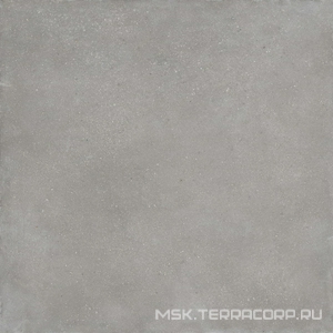 Керамогранит для пола Imola blox 6 120G RM  (п.п.) 120x120 Серый 173885