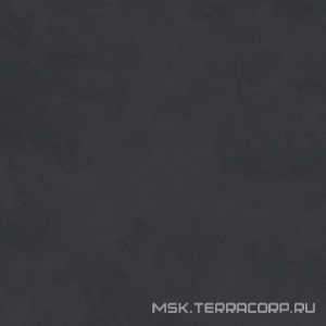 Керамогранит для пола и стены Alpas Euro Denver  Black Base Matt 20x20 n189478