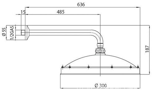 Душ верхний, стационарный, лейка d 30см, настенный монтаж, (кронштейн 48,5см, розетка в компл.), (цв.хром), RETRO ANTIKAL d 300 Bossini ZZ Bossini Универсал H18703J 030