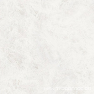Керамогранит для пола и стены Emil Ceramica Tele Di Marmo Precious Crystal White Lap 120x120 ELM6