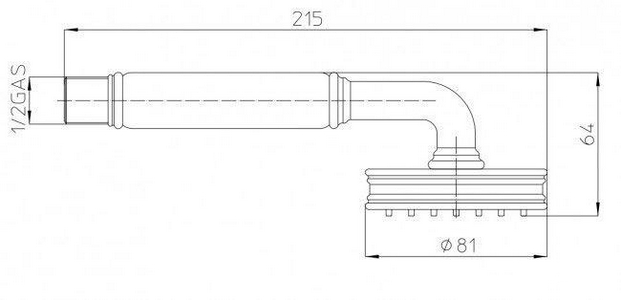 Лейка для душа, ручная, 1 вид струи, (цв.бронза), LIBERTY-GOM Bossini ZZ Bossini Универсал B00750 022