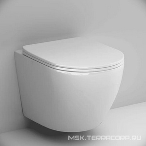 Унитаз подвесной, Aquaspin безободковый, сиденье с микролифтом в комплекте AMPM Like C801901SC