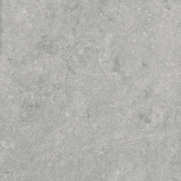 Fossil Gris 2 cm 60x60