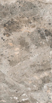 Alaska Grey Pol. 60x120