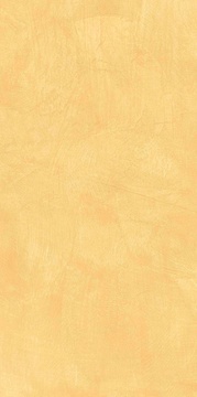 Spectrum SR04 yellow непол.60x120
