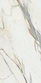 Calacatta Borghini Polished. Rec XX |60x120