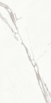 Statuario Classico Soft |60x120